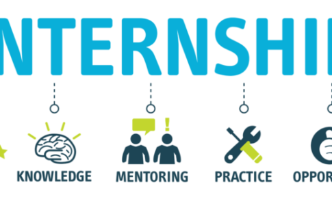 Internship – 45 days Online Certified Induction Training