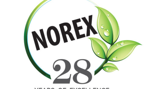 Associate Flavourist – NOREX
