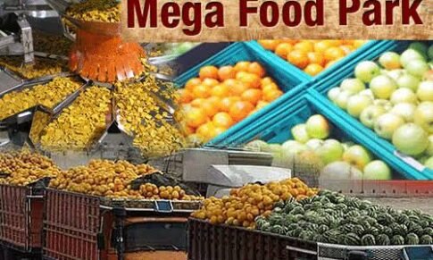 MoFPI to operationalise four Mega Food Parks during fiscal 2022-23