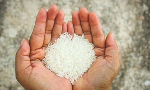 FSSAI’s Amendment Regulations on Standards of Fortified Rice Kernels