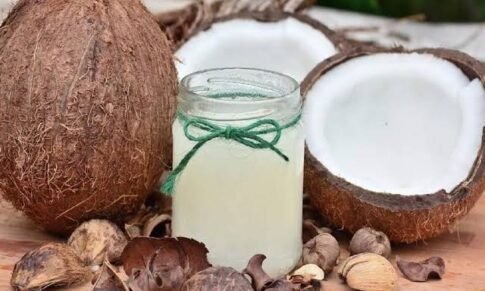 Govt urged to ban export of coconut & groundnut seeds and meet oil demand
