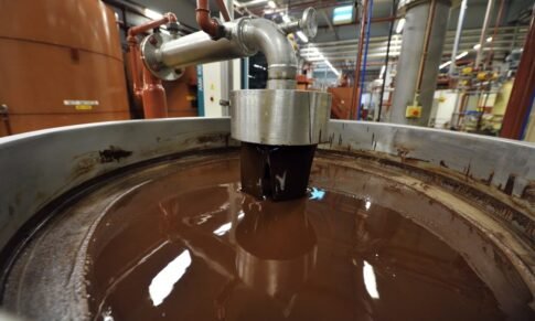 Salmonella Bacteria Found In Belgian World’s Biggest Chocolate Plant