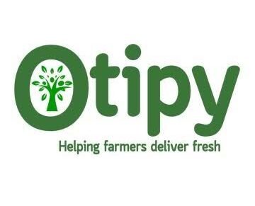 Quality Assurance Lead – Otipy