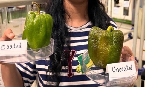 IIT Guwahati Scientists Develop Biodegradable, Edible Coatings That Extends Shelf Life Of Fruits, Vegetables