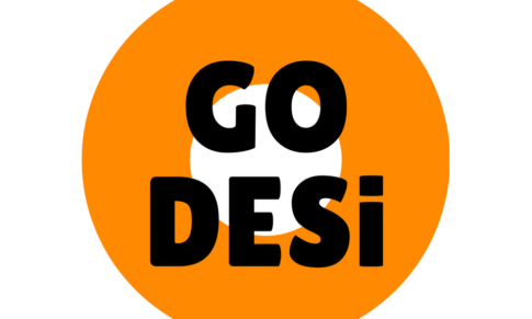 Internship – GO DESi