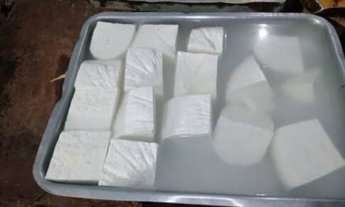 FDA raids Illegal factory making adulterated paneer in Pune