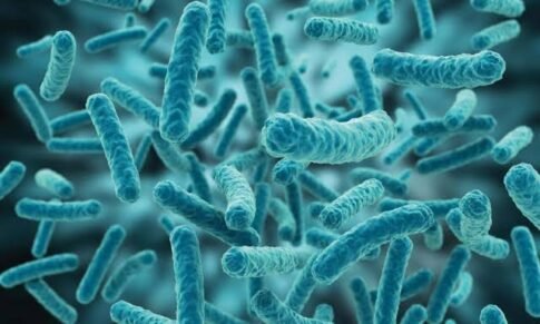 New lactic acid bacteria create natural sweetness in yogurt