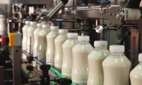 FSSAI registration must for foreign firms selling milk, meat items here from February 1, 2023
