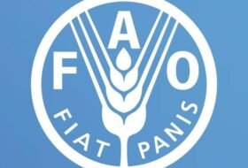 National Food Systems Expert – FAO