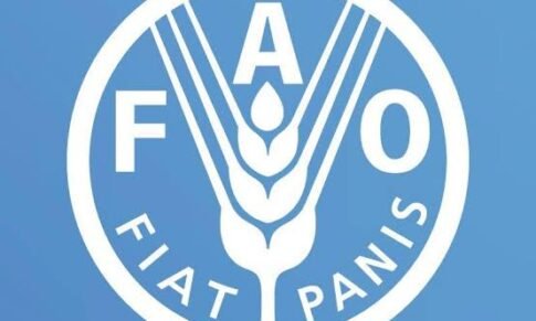 National Food Systems Expert – FAO