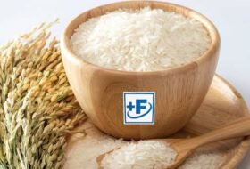 Free webinar – Overview on Rice Fortification