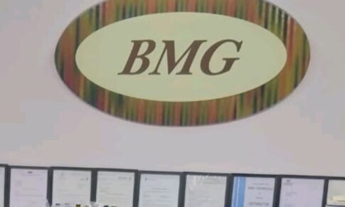 Manager -Technical Sale, BMG chemicals