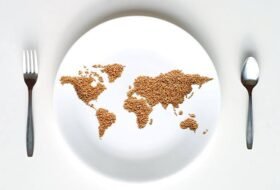 WHO creates data-driven dietary assessment tool to measure health