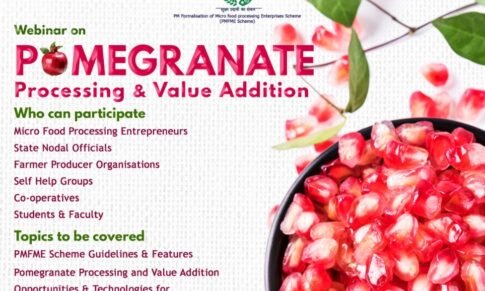 Free – National Webinar  on Pomegranate Processing & Value Addition