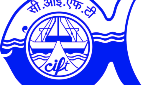 Walk In Interview, Project Associate – Central Institute of Fisheries Technology (ICAR-CIFT)