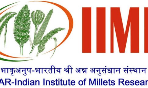 Walk-in-interview, Business Manager – Nutrihub, ICAR – Indian Institute of Millets Research