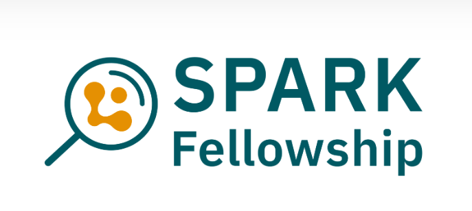 SPARK FELLOWSHIP