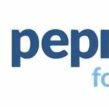 Shift Executive – Pepizo Foods