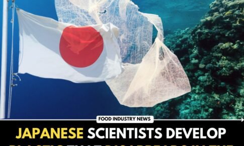 Japanese Scientists Develop Plastic that Disappears in the Ocean within One Hour