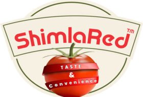 NPD Manager – ShimlaRed