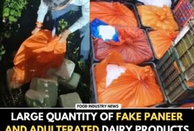 Large Quantity of Fake Paneer and Adulterated Dairy Products Seized in Dhanbad, Jharkhand