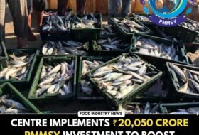 Centre Implements ₹20,050 Crore PMMSY Investment to Boost Fisheries Sector
