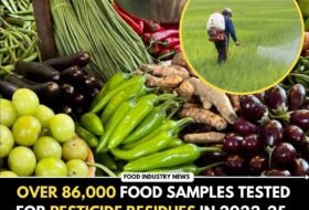 Over 86,000 Food Samples Tested for Pesticide Residues in 2022-25, 2.8% Breach Safety Limits