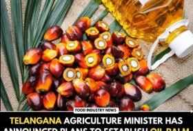 Telangana Agriculture Minister has announced plans to establish Oil Palm processing factories in every district