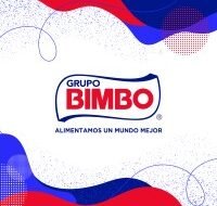 QA Executive – Grupo Bimbo