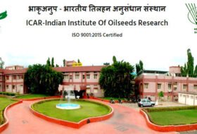 Walk in Interview – Young professional, ICAR-Indian Institute of Oilseeds Research