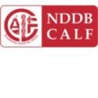 Interns/Trainee – NDDB CALF LIMITED