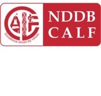 Internship – NDDB CALF LIMITED