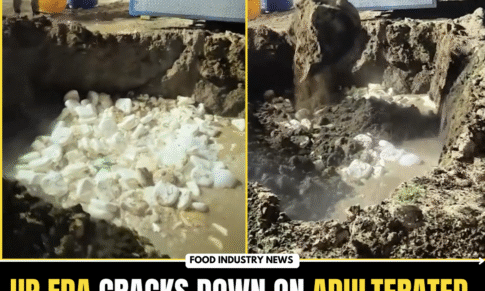 UP FDA seized over 1,150 kg Adulterated Paneer in Greater Noida