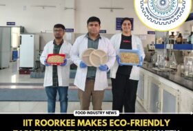 IIT Roorkee Makes Eco-Friendly Tableware from Wheat Straw with Help from Indian and German Teams