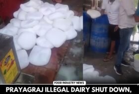Prayagraj Illegal Dairy Shut Down, Hundreds of Kgs of Paneer and Milk Destroyed by Food Safety Officials