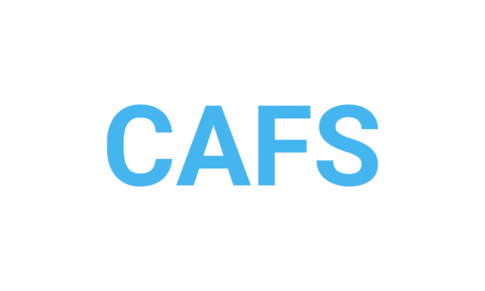 Trainee and Quality Executive – CAFS (Casino Air Caterers & Flight Services)