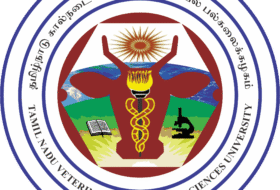 Assistant Professors – Tamil Nadu Veterinary and Animal Sciences University (TANUVAS)