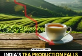 India’s Tea Production Falls 5.9% in September 2025