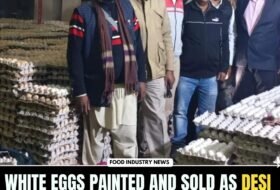 White Eggs painted and sold as Desi Eggs in UP busted in Moradabad
