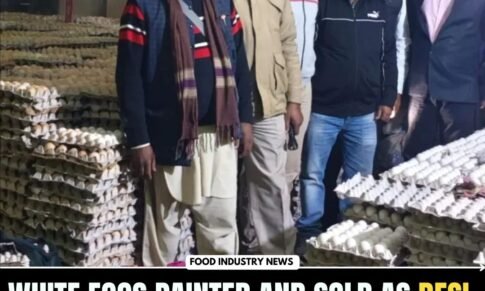 White Eggs painted and sold as Desi Eggs in UP busted in Moradabad