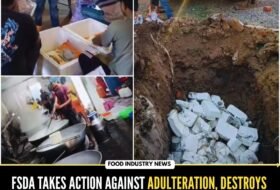 FSDA Takes Action Against Adulteration, Destroys 450 kg of Fake Paneer in Rajnandgaon, Chhattisgarh