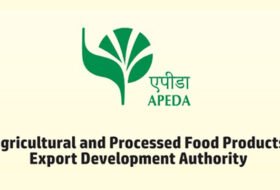 Assistant General Manager – APEDA