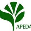 Opening – APEDA Recruitment 2026