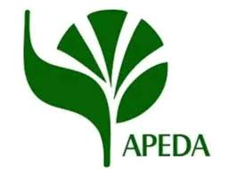 Opening – APEDA Recruitment 2026