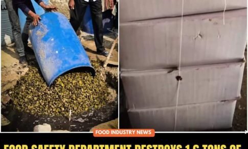 Food Safety Department Destroys 1.6 Tons of Unsafe Pickle, Ghee & Jaggery in Rajasthan