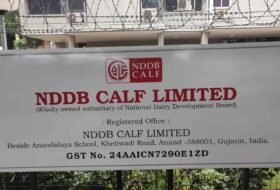 Internship Opportunity – NDDB CALF LTD Chemical Laboratory