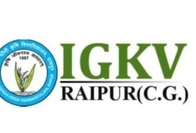 Senior Food Analyst – Indira Gandhi Krishi Vishwavidyalaya (IGKV)