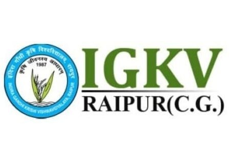 Senior Food Analyst – Indira Gandhi Krishi Vishwavidyalaya (IGKV)