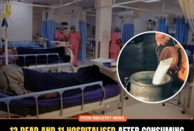 13 Dead and 11 Hospitalised After Consuming Suspected Adulterated Milk in Andhra Pradesh