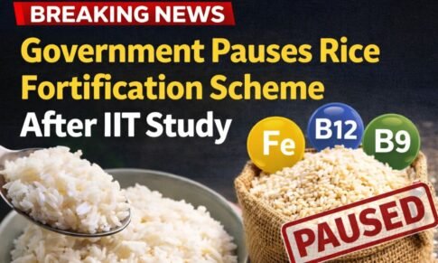 Government Stops Rice Fortification Scheme Temporarily After IIT Study